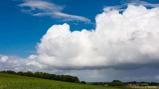 how to cancel nimbus cloud