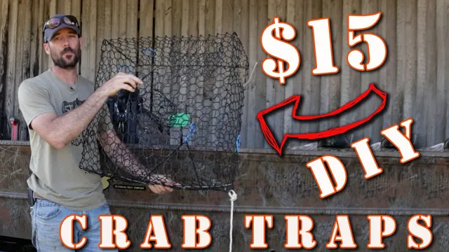 how to make a fiddler crab trap