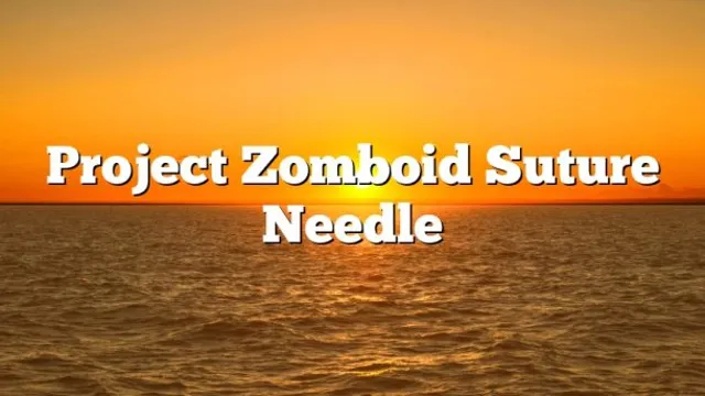 how to use suture needle project zomboid